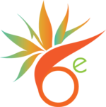 Bird of Paradise Events Logo